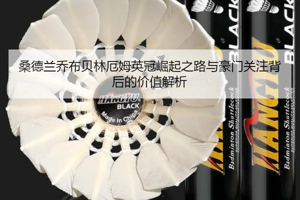 桑德兰乔布贝林厄姆英冠崛起之路与豪门关注背后的价值解析